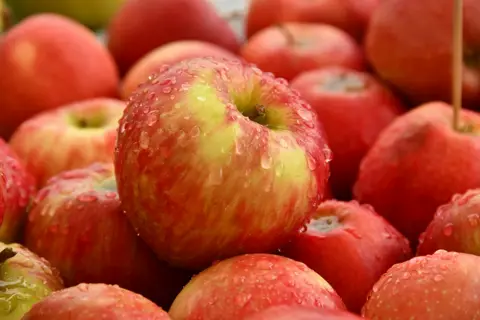 Äpfel Elstar