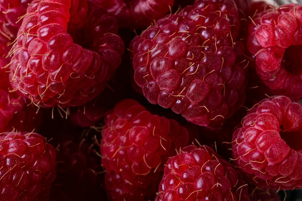 Apfel-Birnen-Marmelade